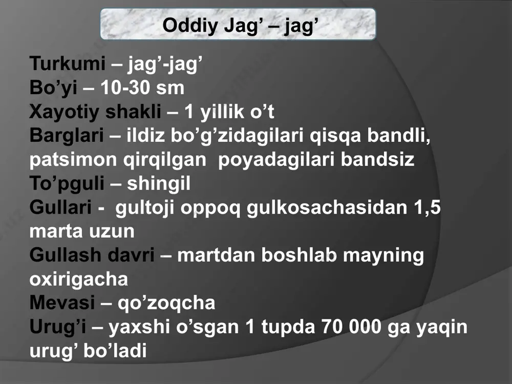 karamdoshlar oilasi - Page 3