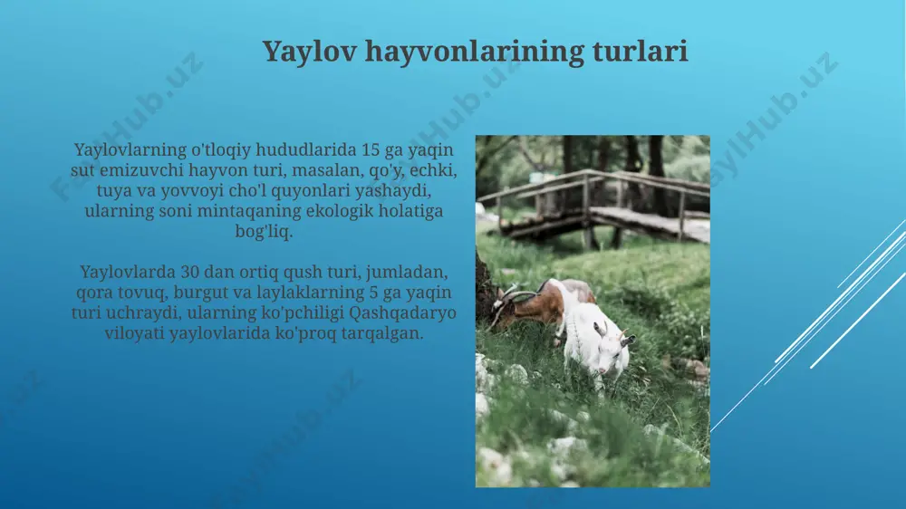 bekistonning tog'li hududlaridagi yaylovlarda, 5-7 yil davomida aylanma yaylovchilik tizimini qo'llash tuproq eroziyasini 15% gacha kamaytiradi va hayvonlarning ozuqasi sifatini yaxshilaydi. yaylovlarni monitoring qilish yaylovlarning holatini baholash uchun 5 yillik davr mobaynida qashqadaryo viloyatining 3 ta tumanida o't va o'simliklarning zichligi, shuningdek, chorva mollarining soni aniqlanadi. gps texnologiyalaridan foydalanib, navoiy viloyatidagi yaylovlarda 100 gektar maydonda o't qoplami va uning regeneratsiyasi bo'yicha ma'lumotlar yig'iladi, bu esa yaylovlarning samaradorligini aniqlashga yordam beradi. o'simliklarning yaylov hayvonlari uchun ahamiyati surxondaryo viloyati yaylovlaridagi 30 dan ortiq turdagi o't-o'lanlar qo'ylar va echkilar uchun muhim minerallar, jumladan kaliy va magniy manbai hisoblanadi, bu ularning sog'lig'ini mustahkamlaydi. andijon vodiysi yaylovlarida o'sadigan dukkakli o'simliklar, taxminan 70% gacha protein tarkibiga ega bo'lib, qoramolning sut hosildorligini va mushak massasini oshirishga yordam beradi. yaylovlarning unumdorligi surxondaryo viloyatining unumdor yaylovlarida, o'rtacha hisobda, 1 gektar maydondan 35-45 sentner atrofida o't olinishi mumkin, ammo bu ko'rsatkich suv resurslari va o'tlarning turlariga bog'liq holda o'zgaradi. yaylovlarning …