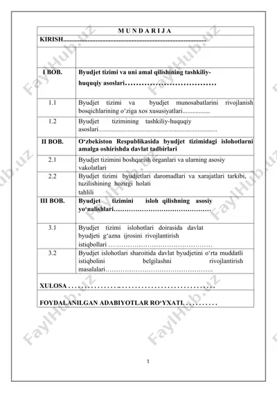 byudjet tizimi — DOCX