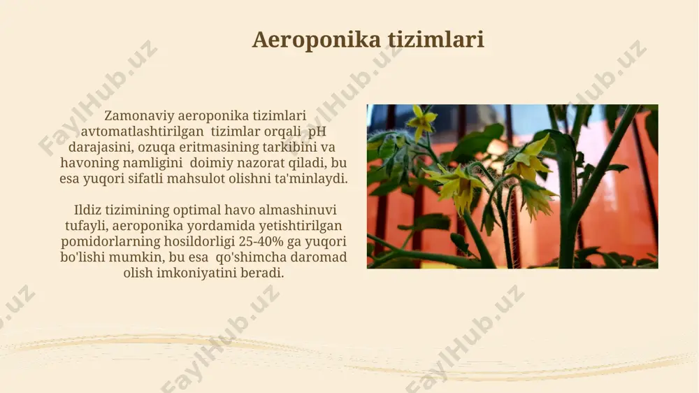 va ph darajasini 5.5-6.5 oralig'ida saqlash muhimdir. substratli etishtirishda o'simliklar 20-30% ko'proq suv iste'mol qilishi mumkin, ammo substrat turiga va o'simlik turlariga bog'liq holda bu ko'rsatkich o'zgarib turadi. suv rejimini tartibga solish gidropnik tizimlarda suvning ph darajasi 5,5-6,5 oralig'ida bo'lishi kerak, aks holda ozuqa moddalarining o'zlashtirilishi 15-20% ga pasayadi va o'simliklarning o'sishi sekinlashadi. substratsiz etishtirishda, suvning mineral tuzlari bilan to'yinganligi muhim ahamiyatga ega. 1000 litr suvga 20-30 gramm o'g'it qo'shish optimal hisoblanadi, buni muntazam tekshirish kerak. o'g'itlash tizimlari o'g'itlash tizimlari, masalan, tomonidan suvda erigan o'g'itlarni 2-3 kun oralig'ida 10-15 ppm konsentrasiyada qo'llash orqali, o'simliklarning ozuqa moddalarga bo'lgan ehtiyojini qondirishi mumkin. gidropanikada qo'llaniladigan o'g'itlash tizimlari tarkibida 16 dan ortiq mikro va makro elementlar bo'lib, ularning optimal nisbati o'simliklarning unumdorligini 20-30% ga oshiradi. hosildorlikni oshirish usullari pomidor hosildorligini 15-20% ga oshirish uchun optimal ozuqa muvozanatini ta’minlovchi gidroponik tizimlardan foydalanish tavsiya etiladi, bu esa mineral tuzlarning samarali assimilyatsiyasini ta’minlaydi. to’g’ri tanlangan substrat (masalan, …