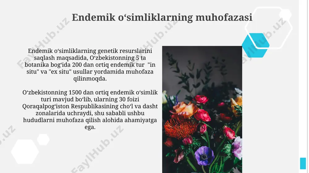 o‘zbekiston florasi endemlari - Page 5