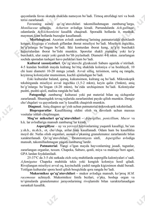burug’lari patmaterialda shoxlangan, bo’g’inlarga bo’lingan miseliy ko’rinishida bo’ladi. u parchalanib, yumaloq bir hujayrali sporalar hosil qiladi. zararlangan soch atrofida zamburug’ sporalari qoplama hosil qiladi. sporalar tartibsiz, mozaika shaklida joylashadi. sporaning o’lchami 3-6 mkm. kultural xususiyatlari. zamburug’ glyukozali saburo agarida, 26-280c da o’sadi. m.equinum terisimon, qatlamli, muhitga zich joylashgan, kulrang-oq miseley bilan qoplangan koloniyalar hosil qiladi. yetilgan koloniyalar sariq yoki qo’ng’ir rangda bo’ladi. miseliysi bo’g’inlarga bo’lingan, mikrokonidiylar noksimon, makrokonidiylar ko’p hujayrali (15-20x12-17 mkm) bo’ladi. m.lanosum suslo - agarda yumaloq konsentrik aylanali kulrang oqish, markazi unsimon koloniyalar hosil qiladi. miseliysi bo’g’inlarga bo’lingan, yosh kulturalarda shoxlangan bo’ladi. makrokonidiylari ko’p kamerali, ikki uchiga qarab toraygan, uzunligi 40-80 mkm. m.gypseum suslo-agarda tekis, unsimon koloniyalar hosil qiladi, miseliysi raketasimon, makrokonidiylari ko’p hujayrali, 8-12x30-50 mkm. dermatomisetlarning fermentativ xususiyatlari umuman har xil va asosan doimiy emas, shuning uchun ham zamburug’ turlarini farqlashda qo’llanilmaydi. chidamliligi. mikrosporonlar patmaterialni ( soch, teri qirindilari) qog’oz xaltachalarda uy haroratida saqlanganda 3-4 yil va …