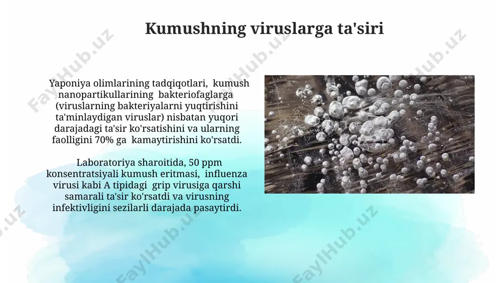 mis va kumushning biologik aktivligi - Page 4