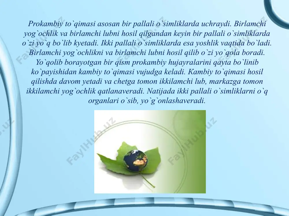 o`simliкlarning to`qimalari - Page 5