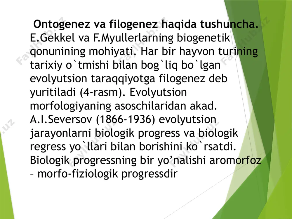 ujayrali hayvonlar – metazoaga bo`lingan. bulutlar va kovakichlilar organizmi ko`p sonli hujayralardan va xujayralararo mahsulotlardan tashkil topgan. bu hujayralar tuzilish va funksional tomondan differensiallashgan bo`lib, ular mustaqil yashash qobiliyatiga ega emas. qolgan boshqa ko`p hujayralilar maxsus to`qimalardan tarkib topgan organlarga va organlar sistemasi (tizimi) ga ega. aksariyat ko`p hujayralilarda hujayralar soni benihoyat ko`p, ularning soni butun hayot mobaynida ancha o`zgarib turadi. ma`lum bir vazifani bajarishga moslashgan tuzilishi, kelib chiqishi va hayotiy yo`nalishlari bir xil bo`lgan hujayralar va hujayralararo mahsulotlar kompleksiga to`qima deb yuritiladi odatda ko`p hujayralarning organlari bir necha to`qimalardan tashkil topgan. a) epitelial to`qima - himoya vazifasini bajaruvchi to`qima bo`lib, unga tashqi, terini qoplagan va ikkilamchi tana bo`shlig`i – selomni, shuningdek ichak va boshqa hazm organlarining ichki va tashqi devorini qoplagan to`qimalar kiradi. b) biriktiruvchi to`qimalar – bu to`qimalar ularning hujayralararo mahsulotlari turli xil hayvonlar tanasida nihoyatda ko`p tarqalgan bo`lib, juda murakkab va xilma-xil vazifalarni bajaradi. dastlab yassi chuvalchanglarda …