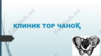 клиник тор чаноқ — PPTX