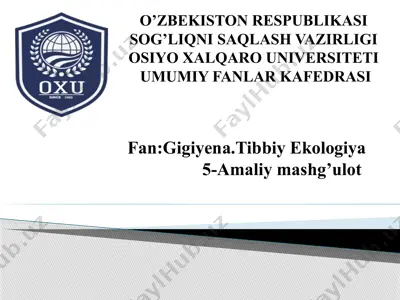 ishchilar organizmiga shovqin, tebranishning ta’siri — PPTX