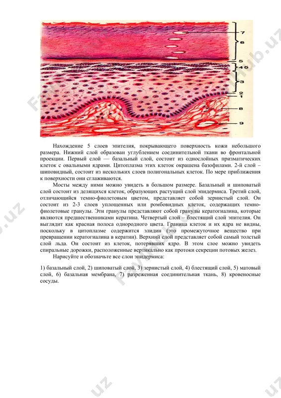 исследование наркотиков - Page 4