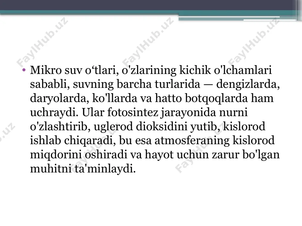 da muhim istiqbollarni ochadi. mikro suv oʻtlarining tahdidlari 1. eutrofikatsiya: mikro suv oʻtlarining o'sishining haddan tashqari ko'payishi (masalan, sintetik o'g'itlar yoki ifloslanish natijasida) eutrofikatsiyaga olib kelishi mumkin. bu jarayon suvda kislorodning kamayishiga va suv hayvonlarining o'limiga sabab bo'lishi mumkin. 2. zararli alga bloomlari: ba'zi mikro suv oʻtlari zararli "alga bloomlari"ni hosil qilishi mumkin, ya'ni suvda to'planib, toksik moddalarni chiqaradi. bu holat suvni ifloslantiradi va suv hayvonlari uchun zararli bo'lishi mumkin. xulosa mikro suv oʻtlari ekologik tizimlarda juda katta ahamiyatga ega. ular nafaqat fotosintez orqali atmosferadagi kislorodni oshirish, balki ekologik tozalash, oziqlanish zanjiri va bioyoqilg'ilar ishlab chiqarishda muhim rol o'ynaydi. shuningdek, ularning ko'payishi va tarqalishi suv ekosistemalarining sog'lig'iga va tabiiy resurslarning barqarorligini ta'minlashga yordam beradi. biroq, ifloslanish va eutrofikatsiya kabi omillar mikro suv oʻtlarining ekologik muvozanatni buzishiga olib kelishi mumkin. /docprops/thumbnail.jpeg