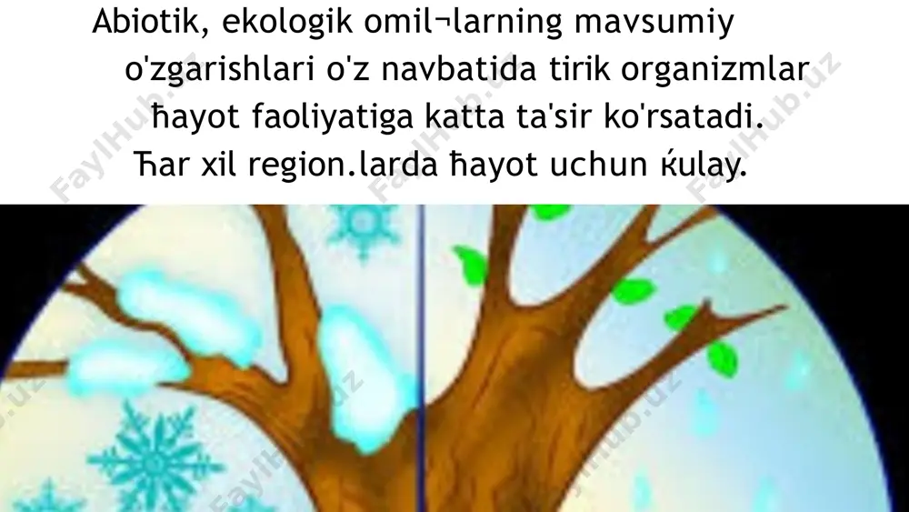 bio_au_23 guruh talabasi toshtemirova barno - Page 3