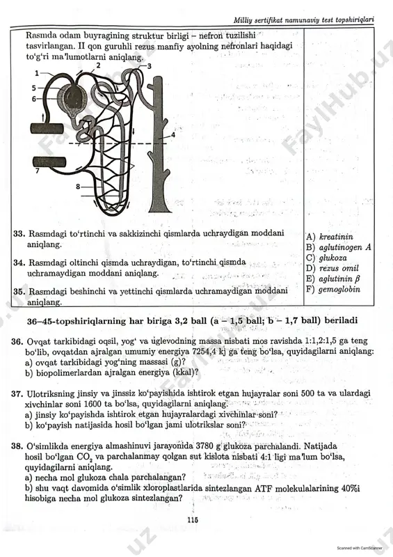 milliy sertifikat namunaviy test topshiriglari - Page 5