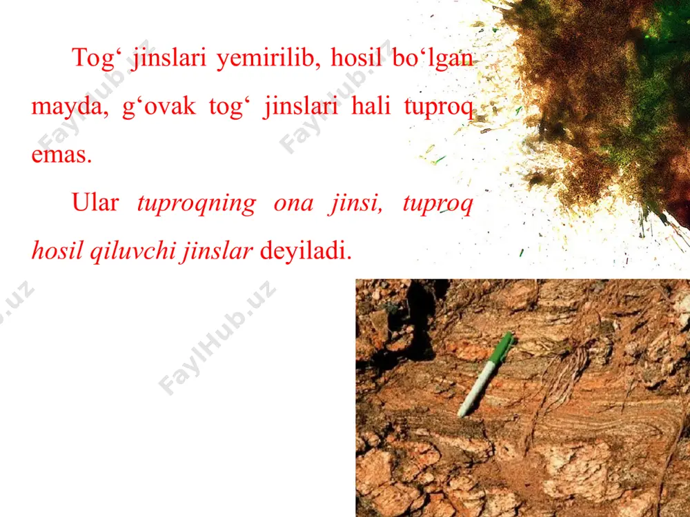 tuproqlar haqida tushuncha 7-sinf - Page 3