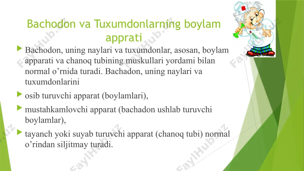 tog’ri ichakni ikki tomondan o’rab dumg’azaning oldingi yuzasiga yopishadi. bu boylamlar bachodon bo’ynini orqaga tortib turadi. tug’ruq vaqtida yumaloq boylamlar va dumg’aza-bachadon boylamlari bachadonning o’z o’rnida turishiga yordam beradi. tuxumdonlarining o’z boylamlari(lig.ovarii proprium) tuxumdonlarining o’z boylamlari(lig.ovarii proprium) bachadon tubidan (bachadon naylari chiqadigan joyning orqarag’i va pastrog’idan) boshlanib, tuxumdonlarga borib ulanadi. bachadonning mustahkamlovchi apparati qo’shuvchi to’qimalardan tuzilgan, silliq muskul tolalari aralash tortmalardan iborat: a) oldingi tomondanga qovuqqa va so’gra simfizga b) chanoqning yon devorlariga boradi – asosiy boylamlar (lig. cardinale ) d) orqaga borib dumg’aza-bachadon boylamlarining qo’shuvchi to’qimadan tuzilgan negini tashkil etadi. tayanch yoki suyab turuvchi apparat chanoq tubining muskullari va fassiyalaridan tarkib topgan ichki jinsiy a’zolarning o’z o’rnida turishida chanoq tabining ahamiyati juda kata. qorin ichidagi bosim ortganda (ayol kuchnganda, yuk ko’targanda, yo’talganda va hakozo) bachodon bo’yni chanoq tubiga tirgakka suyagandek tayalanadi; chanoq tubining muskullari jinsiy a’zolar vs ichki a’zolarning pastga tushishiga yo’l bermaydi. e’tiboringiz uchun raxmat tamom image1.png image2.jpeg …