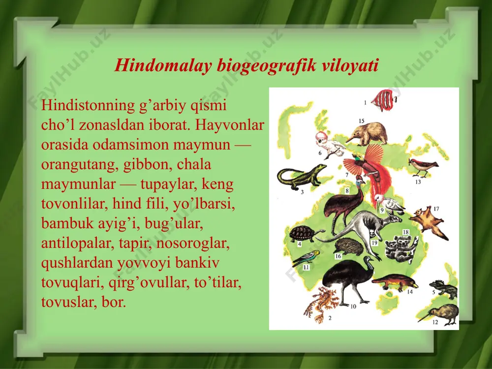 evolutsiyani isbotlashda biogeografiya fani dalillari - Page 5