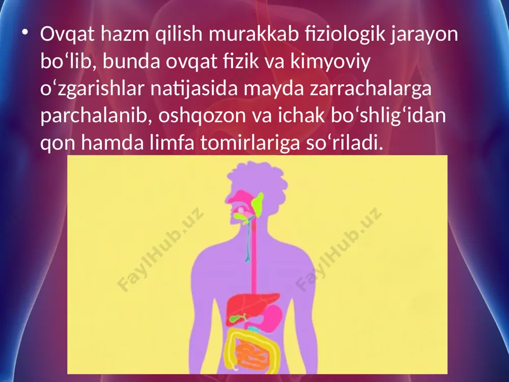 ovqat hazm qilishning ahamiyati. 8 - sinf - Page 3