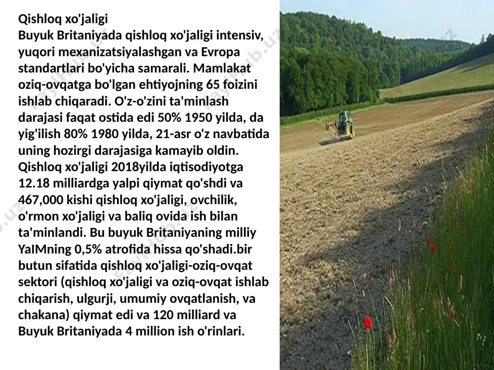 buyuk britaniya iqtisodiyoti - Page 5