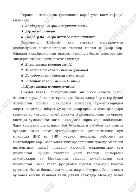 тик усимталар (тиканлар, акантлар) мавжуд булиб, улар зичлашган хужайра кобигидан, тонофибриллардан ва тонофиламентлардан хосил булган. бу усимталар кушни хужайраларнинг худди шундай усимталари билан чатишиб (урилиб) кетиб, хужайралараро куприкчаларни хосил килади, улар орасидаги каналчалардан хужайралараро суюклик окиб утади. тикансимон кават хужайраларининг бошка кават хужайраларидан фарк килдирувчи яна бир хусусияти уларда тонофибрилларнинг жуда яхши ривожланганлигидадир. тонофибриллар хужайрани ички таянч каркасини хосил килади. бу эса шу хужайраларни механик шикастланишдан (эзилишдан) саклайди. эпидермоцитлардан ташкари бу каватда хам оз микдорда булсада лангерганс хужайралари хам бор. лангерганс хужайралари иммун функцияни (бегона антигенларни лимфоцитларга олиб бориб таништириш) бажаради. 3. донадор кават бир катордан турт каторгача булган чузинчок шаклидаги (дуксимон ёки йигсимон) эпидермоцитлардан иборат. хужайраларнинг икки учи ингичка, уртаси йугонрок булиб, протоплазмаси бутунлай донадор киритма билан тулдирилган. ядроси пикнозга учраган, улчами кичик. донадор киритма тугрисида хар хил карашлар мавжуд булиб, айримлар уни ядронинг дегенерацияси окибатида пайдо булган десалар, бошкалар тонофибрилларнинг фрагментацияси натижасида хосил булган деб хисоблайдилар. бу донадор …