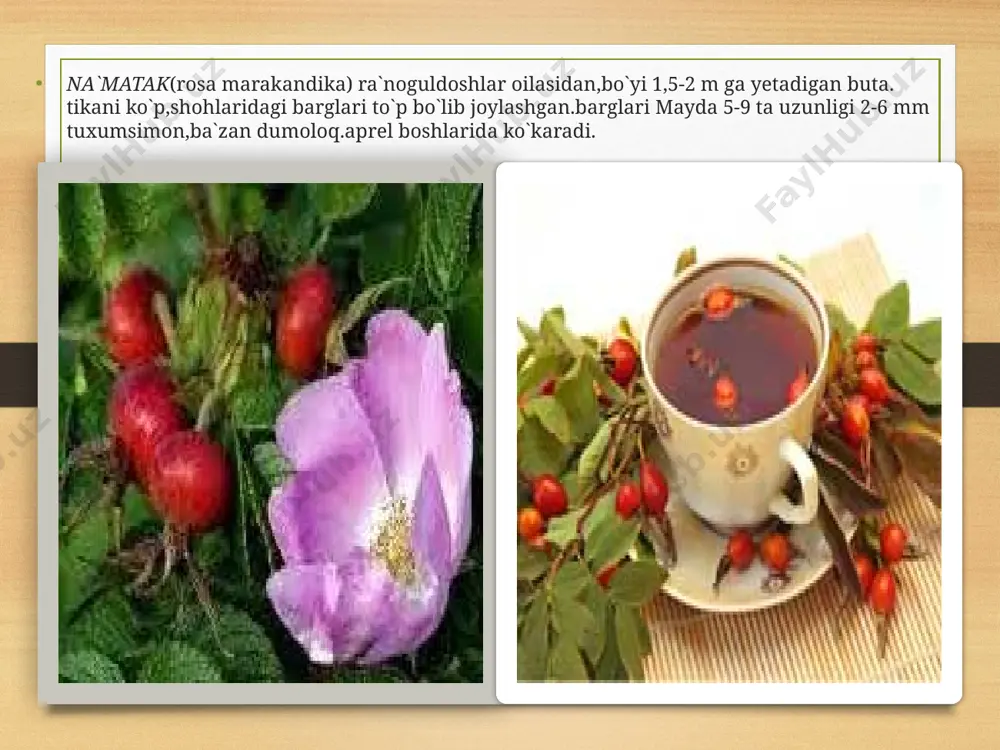 for, kremniy, mis moddalari mavjud. shuningdek unda foliy, limon, olma va salitsil kislotalari bor. qulupnayning foydali xususiyatlariga quyidagilarni kiritish mumkin: u ovqat hazm qilish tizimiga yaxshi ta'sir ko’rsatadi. qulupnay tarkibida yetarli darajada minerallar bo'lgani uchun u organizmni tozalaydi, shuningdek tarkibidagi antioksidantlar tufayli organizmning qarish jarayoni sekinlashtiradi. xalq tabobatida qulupnay kamqonlik, gipertoniya, ateroskleroz, bachadondagi qon ketishlarda qo'llaniladi. avitaminozlarda qulupnayga yetadigani yo'q. shaftoli — dorivor meva (avitsenna.uz) dunyoda shaftolining yuzdan ziyod navi o‘sadi. mevasidan qayta ishlangan holda qoqi, sharbat, shira, murabbo tayyorlanadi. mevasi tarkibida asosan, suv bo‘lsa-da, boshqa moddalar ham ko‘p. jumladan, qand, pektin, saxaroza, organik kislota (limon va olma)lar, a, e, c, b1, b2, b6 singari darmondorilar, kaliy, kalsiy, natriy, fosfor kabi ma’danlarni saqlaydi. shaftoli mevasi qayt qilishni to‘xtatuvchi, taom hazmini yaxshilovchi, tanani zararli moddalardan tozalovchi omil vazifasini bajaradi. o’rik- armeniaca aksariyat qismi daraxt o’simlik. uning 8 turi fanda ma’lum. o’rik xalqimizning xushxo’r mevasidan biri. mevasi etli, shirin, ayrim navlarining quritilgan …