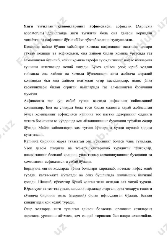 саллик оқибати шубҳали, чунки кўпинча аспирацион бронхопневмония ривожланади. ёрдам кўрсатиш учун ҳомила туғилгандан кейин оғиз ва бурун бўшлиғидаги шилимшиқ суюқликни дарҳол дока тампонлар билан артиб олиш керак. бунда ҳайвон боласининг боши билан бўйнини бироз пастлатиш лозим. бузоқ, чўчқа ва ит болаларини орқа оёғидан кўтариб, оҳиста силкитиш тавсия этилади. янги туғилган ҳайвон боласи юзаки нафас олиб турган бўлса нашатир спиртдан фойдаланиш мумкин, кўкрак қафасини ишқалаш ҳам фойда беради. нафас ҳаракатлари мутлақо бўлмаса, вақтни ўтказмасдан сунъий нафас олдириш керак. бунинг учун кўкрак қафаси бир маромда босилиб, кенгайтирилади. юрак ишлаб турганда жонлантириш учун қилинадиган муолажалар давом эттирилаверади. мустақил нафас ҳаракатлари бошлангандан кейин сунъий нафас олдиришни тўхтатиб қўймаслик керак, чунки бу ҳаракатлар яна тўхтаб қолиши мумкин. асфиксия қайталаниши мумкинлиги сабабли янги туғилган ҳайвонни бир неча соат кузатиб туриш керак. юрак секин урганида кофеин ва камфора препаратлари қўлланилади, нафас олиш марказларини қўзғатиш мақсадида 0,005-0,012 г лобелин эритма ҳолида тавсия этилади. биринчи тезакнинг тўхтаб қолиши. янги …
