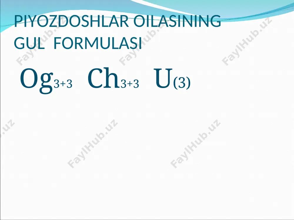 piyozdoshlar oilasi haqida ma'lumot - Page 3