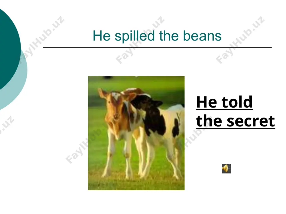idioms - Page 3