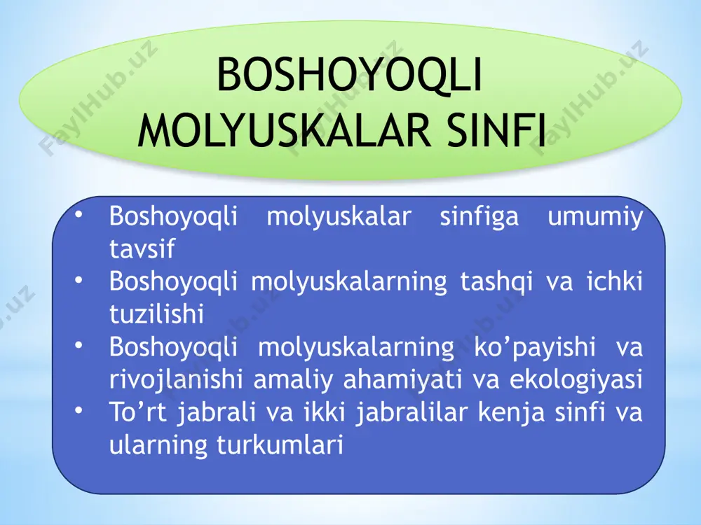 dibranchia) kenja sinfi to’rt jabralilar eng qadimgi sodda tuzilgan boshoyoqlilarning jabralari yurak bo’linmalari va buyragi to’rttadan ko’p kamerali tashqi chig’anoqqa ega bo’lgan xozirgi tirik vakillari nautilius urug’iga kiradi. to’rt jabralilardan amulitlar qazilma xolida uchraydi. ikki jabralilar jabralari yurak bo’linmachalari va buyuraklari ikkitadan chig’anog’i mantiya ostida joylashgan yoki batamom reduksiyaga uchragan. bu kenja sinf ikki turkunga ajraladi o’n oyoqlilar (decaputa) paypaslagichlari o’nta bo’lib ulardan ikkitasi uzun tutuvchi paypaslagichlardir sakkizoyoqlilar (octopoda) suv tubida hayot kechiradi. tanaasi haltaga o’xshash chig’anog’i reduksiyaga uchragan. paysasl;agichlari 8 ta tutuvchi paypaslagichlari bo’lmaydi. hozirgi vakillarining ko’pchiligi argonauta va osminoklar avlodiga kiradi. e’tiboringiz uchun rahmat ! image1.jpeg image2.jpeg image3.jpeg image4.jpeg image5.jpeg image6.jpeg image7.jpeg image8.jpeg image9.jpeg image10.jpeg image11.png image12.jpeg image13.jpeg image14.jpeg image15.jpeg image16.jpeg image17.jpeg image18.jpeg