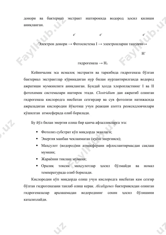 микроорганизмлар ёрдамида биомассадан энергия олиш. биоэнергия - Page 4