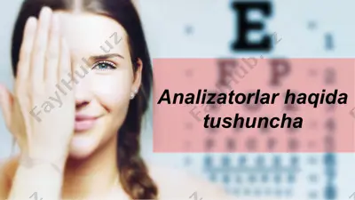 analizatorlar haqida tushuncha — PPTX
