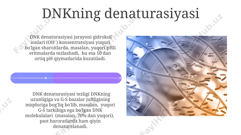fragmentlari tez va samarali ko'payadi. pzrning afzalliklari va kamchiliklari pcrning yuqori sezuvchanligi tufayli 100 ng dan kam miqdordagi dnk namunalarini ham aniqlash mumkin, bu esa kichik to'qima namunalari yoki qon izlarini tahlil qilishda samarqanddagi genetika laboratoriyalariga katta yordam beradi. pcr texnologiyasi tezkor natijalar beradi, odatda 2-4 soat ichida natijalar tayyor bo'ladi, ammo murakkab protokollar va asbob-uskunalar yuqori xarajatlarga olib keladi, masalan, 1000 aqsh dollaridan oshiq bo'lishi mumkin. pzrning qo'llanilishi genetik kasalliklarni skrining qilishda, masalan, 5000 yangi tug'ilgan chaqaloq orasidan kist fibrozisi genini aniqlash uchun pcr texnologiyasidan foydalanish aqsh va yevropa mamlakatlarida keng tarqalgan. pcrning yuqori sezuvchanligi tufayli, 1000 ta hujayradan atigi 1 ta virusli genomni aniqlash mumkin, bu esa o'zbekiston kabi rivojlanayotgan mamlakatlarda yuqumli kasalliklarni erta aniqlashga yordam beradi. tadqiqotlarda pzr pzr texnologiyasi yordamida 2020-yilda jahon sogʻliqni saqlash tashkiloti (jsst) tomonidan tasdiqlangan yangi koronavirusning genetik ketma-ketligini aniqlashda samarali qoʻllanilgan. aqshning kaliforniya universitetida olib borilgan tadqiqotlar shuni koʻrsatdiki, pzr usuli 500 …