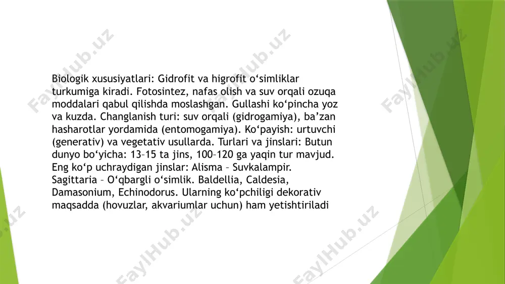 botqoqguldoshlar oilasi - Page 5