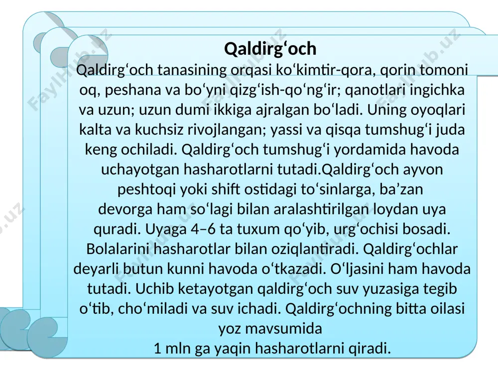 qushlarning xilma-xilligi: voha va cho‘l qushlari - Page 5