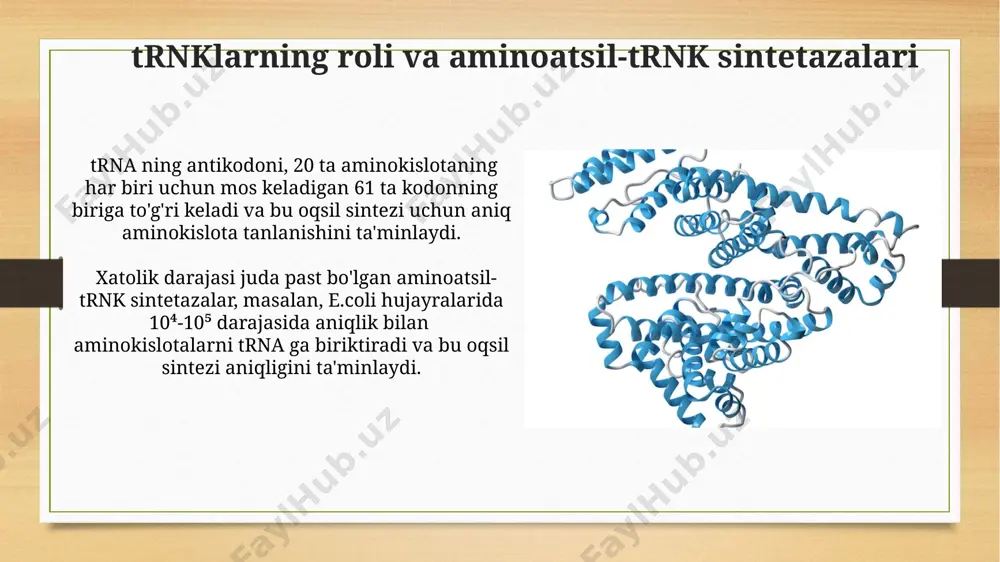 oqsil sintezida qatnashadigan fermentlarning tavsifi - Page 4