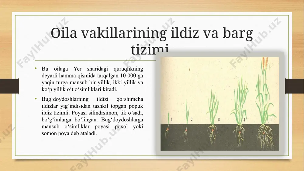 "bug’doydoshlar oilasi" - Page 3