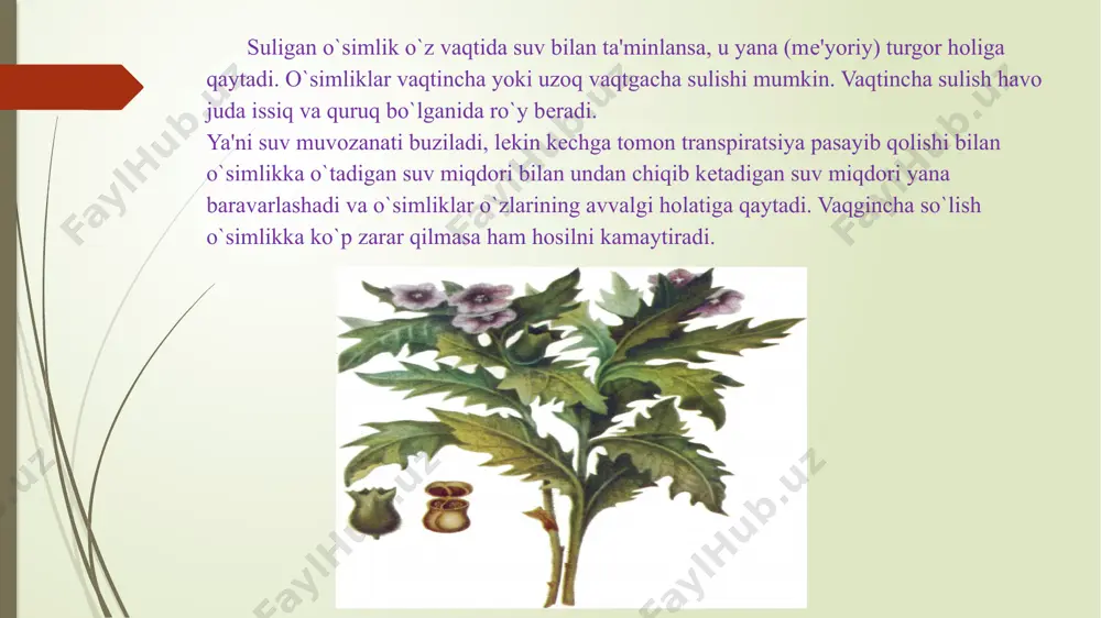 o’simliklarda suv almashinuv fiziologiyasi - Page 5