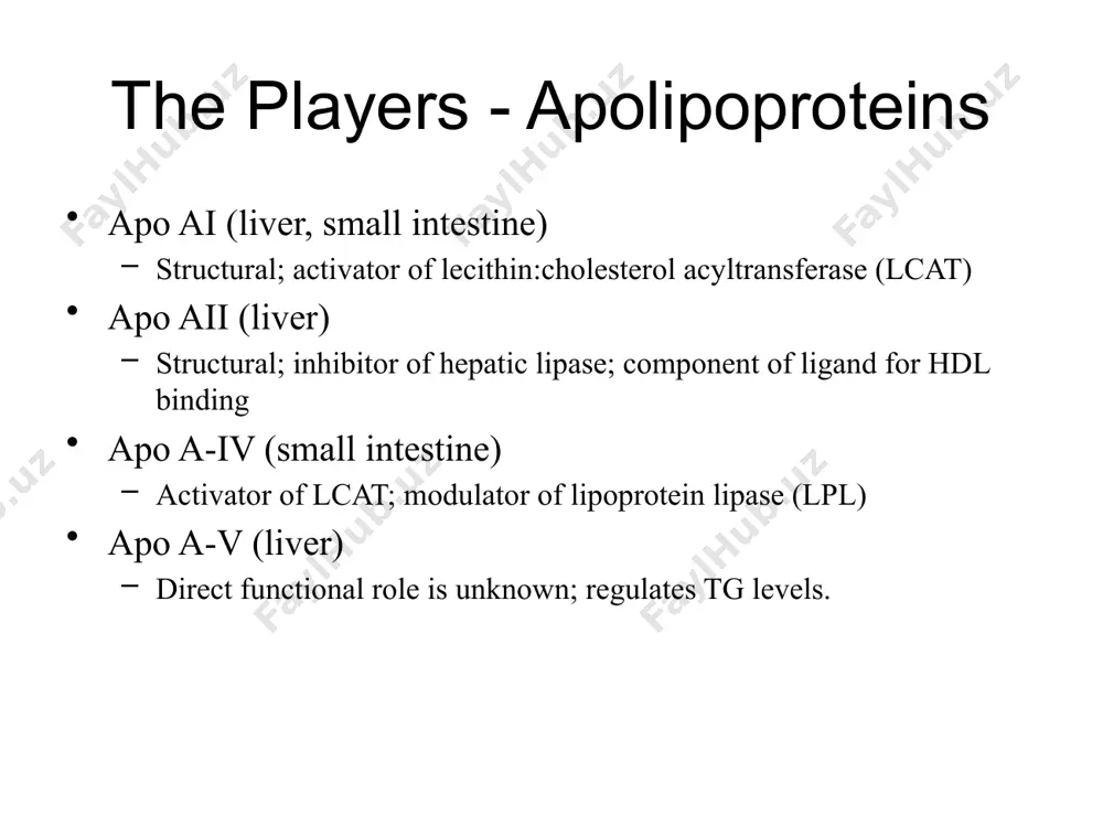 rrows represent lipid transfer processes, and red arrows represent protein transfer processes. tgrl indicates triglyceride-rich lipoproteins hepatic cholesterol metabolism hepatic cholesterol synthesis cholesterol and atherosaclerosis, grundy) rate limiting only pathway for cholesterol degradation energetically expensive; prefer to conserve what is already made/acquired – ldl receptor pathway ldl cellular metabolism cholesterol and atherosaclerosis, grundy) ldl are taken up by the ldl receptor into clathrin-coated pits endothelial dysfunction increased endothelial permeability to lipoproteins and plasma constituents mediated by no, pdgf, ag-ii, endothelin. up-regulation of leukocyte adhesion molecules (l-selectin, integrins, etc). up-regulation of endothelial adhesion molecules (e-selectin, p-selectin, icam-1, vcam-1). migration of leukocytes into artery wall mediated by oxldl, mcp-1, il-8, pdgf, m-csf. ross, nejm; 1999 formation of fatty streak smc migration stimulated by pdgf, fgf-2, tgf-b t-cell activation mediated by tnf-a, il-2, gm-csf. foam-cell formation mediated by oxldl, tnf-a, il-1,and m-csf. platelet adherence and aggregation stimulated by integrins, p-selectin, fibrin, txa2, and …