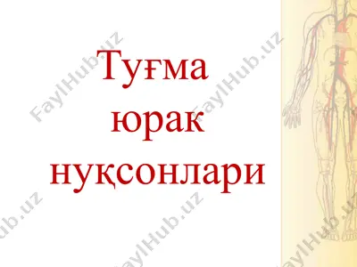 tug'mayurak nuqsonlari — PPT