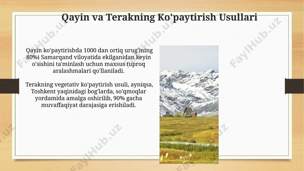 qayin va terak daraxtlari - Page 5