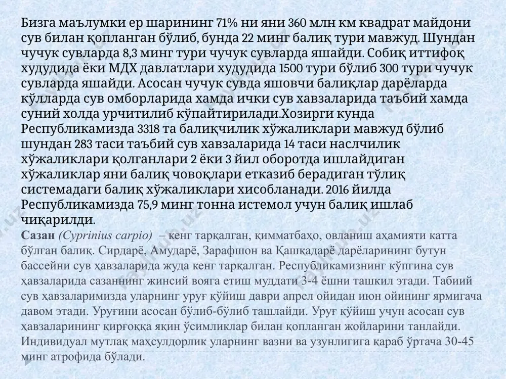 ан фарқланиб туради. у 2 ёзни кўрганида (17 ой) 1 кг вазнга эга бўлади. у гўштининг мазалилиги ва ёғлилиги билаи машҳур. илонбош балиғи. у йиртқич бўлиб, балиқ, қурбақа, йирик умуртқасиз ҳайвонлар билан озиқланади. унинг ранги сариқ-яшил, катта ёшларида қўнғир доғлар ҳам бўлади. кўзини орқа қисмидан узун қора чуқур чизиқ ўтган, танаси узунчоқ, думалоқ шаклида, танасинй орқа қисми бир оз яполоқ, калласи япасқи ва илон бошини эслатади. ўзбекистон шароитида урчитилиб қўпайтирилаётган иссиқ севар йиртқич балиқ турларига қўйидаги балиқлар киради: лаққа (сом) чўртан балиқ (щука) судак илон бош (змееголов) лаққа чучук сувларда яшовчи иссиқсевар йиртқич балиқ ҳисобланиб, ҳамдўстлик давлатлари ҳудудидаги сув ҳавзаларида каспий, қора, азов, орол ва болтиқ денгизларида, республикамиз ҳудудидаги дарё ва кўлларда табиий шароитда учрайди. лаққа балиғининг икки тури оддий (silurus glanis) ва солдатова (silurus soldatova) турлари учрайди. жинсий вояга етилиши 4-5 ёшида, жинсий етилади. эркаклари 3,5 ёшда, урғочилари 4-4,5 ёшда жинсий вояга етилади. узунлиги 5 метргача, оғирлиги 190-300 кг …