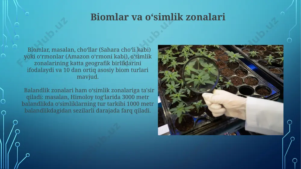 o‘simliklar geografiyasi asoslari - Page 3