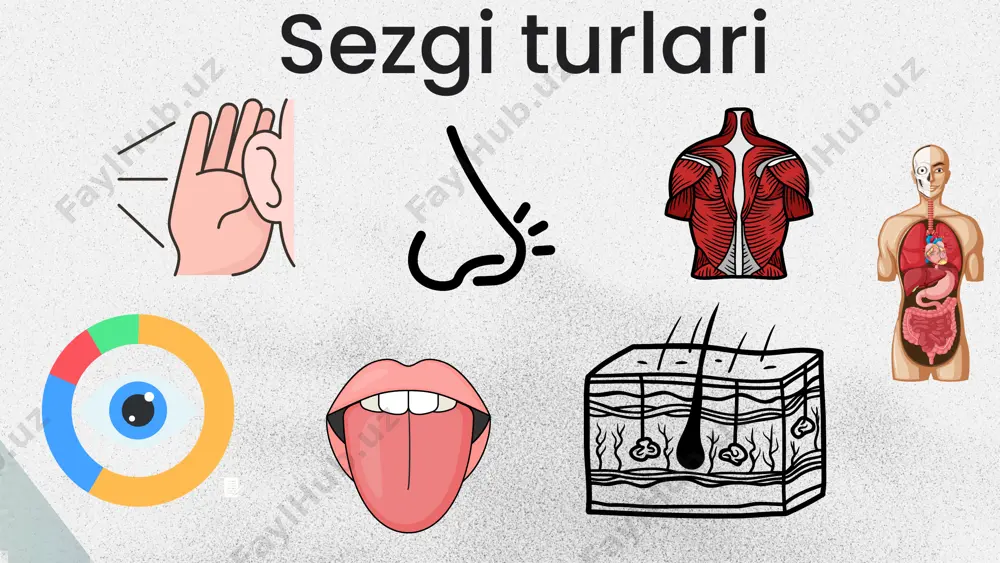 sezgi - Page 5