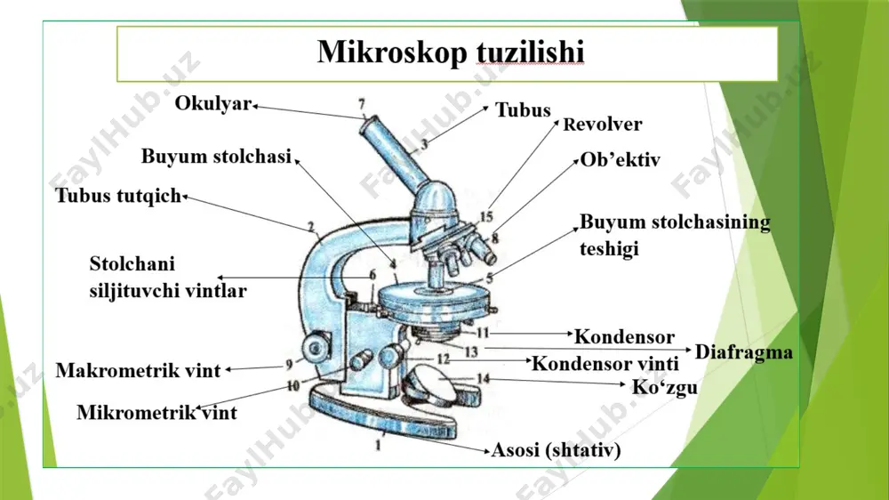 mikroskop - Page 4