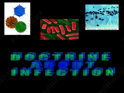 doctrine about infection — PPT