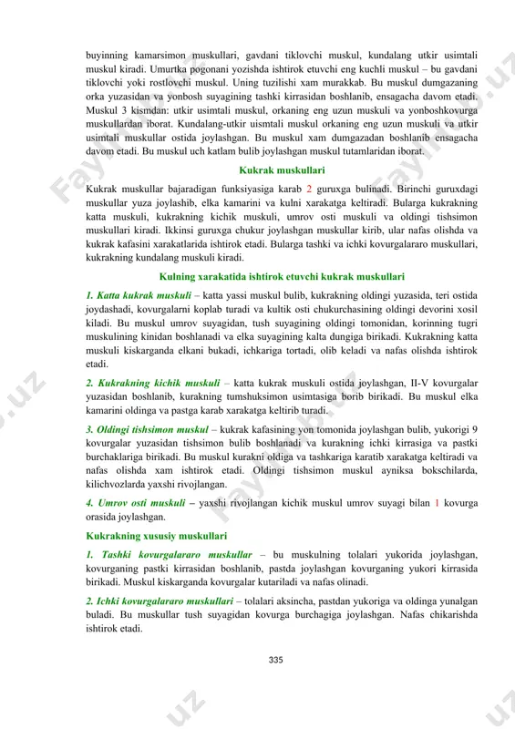m nafas olishda ishtirok etadilar. korin muskullari va fassiyalari korin muskullari korin bushligini oldingi, yon va orka devorlarni xosil kiladi. chap va ung tomonda joylashgan muskullar orasida tananing urta chizigi buylab korinning ok chizigi ifodalanadi. ok chizik tush suyagining xanjarsimon usimtasidan boshlanib, kov suyaklarining simfizigacha davom etadi. ok chizik bu korin pressini tashkil etuvchi muskullarni keng payli uchlarini yoki aponevrozlarini tutashib ketgan chegarasi xisoblanadi. 1. korinning tugri muskuli – uzun lentasimon muskul bulib, korinni old devorini tashkil etadi, ok chizikka nisbatan ung va chap tomonda payli kin joylashgan. bu muskul tush suyagining xanjarsimon usimatsidan, v-vii kovurgalarning togay kismidan boshlanib, kov suyagining yukori chetiga birikadi. u bir nechta payli tortmalar bilan 4-5 segmentlarga ajralgan. teri ostida bu muskul segmentlari anik ifodalanadi, ayniksa shtangachilarda va kurashchilarda. korinning tugri muskuli kiskarganda gavda bukiladi – eng kuchli buruvchi muskul xisoblanadi. korin pressi xosil bulishda va kisman nafas chikarish paytida kukrak kafasining xarakatlarida xam ishtirok …