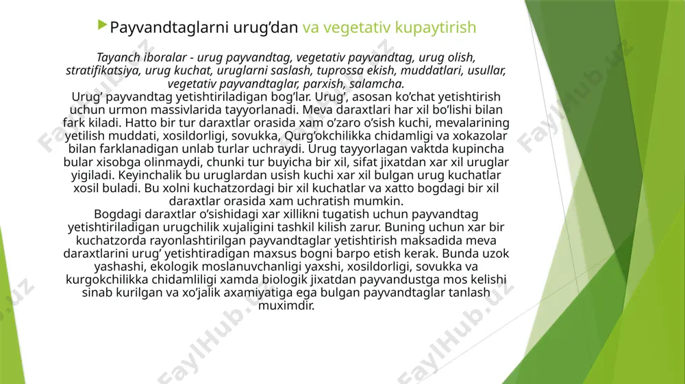 riladi. avvalo, belgilab kuyilgan asosiy daraxtlardan olingan uruglar kuchatzorga ekiladi va shulardan payvandtag ustirilib, shu asosiy daraxtlardan olingan kurtaklarni kurtak payvand kilish kerak. shu yul bilan yetishtirilgan kuchatlar kuchatzordan asosiy bokka kuchirib utkaziladi. bundan tashkari, ayrim urug olinadigan daraxtlarni ma’lum changlovchilar orasiga zichlash yoki kurib kolgan daraxtlar urniga sanoat axamiyatiga ega bulgan bokka utkazish mumkin. ular boglarni ximoya kiladigan urmon ixotazorlariga va shamolni tusadigan katorlarga xam utkazilsa buladi. uzining kimmatli sifatlarini utkazishi va bir xil payvandtag olishni ta’minlashi xamda asosiy uruglik yetishtiriladigan boglar barpo etish uchun tanlab olingan usimliklar vegetativ usulda xam kupaytiriladi. asosiy urug’lik yetishtiriladigan ona boglarda kuprok urug olish va axamiyati kam, kingir - kiyshik kuchatlarni kovlab olib tashlash maksadida kuchatlar kalin (zich) utkaziladi. ko’chatlarning asosiy turlari uchun changlovchi navlarni shunday tanlash kerakki, ular changlantirganda payvandtaglarni xossalarini yaxshilasin. urug’ kuchatlarni payvand kilinadigan navlar bilan tutib ketishi, uruglik yetishtiriladigan boglarni parvarishlash xam, xuddi sanoat maksadida kuchat yetishtiriladigan boglarniki singari …