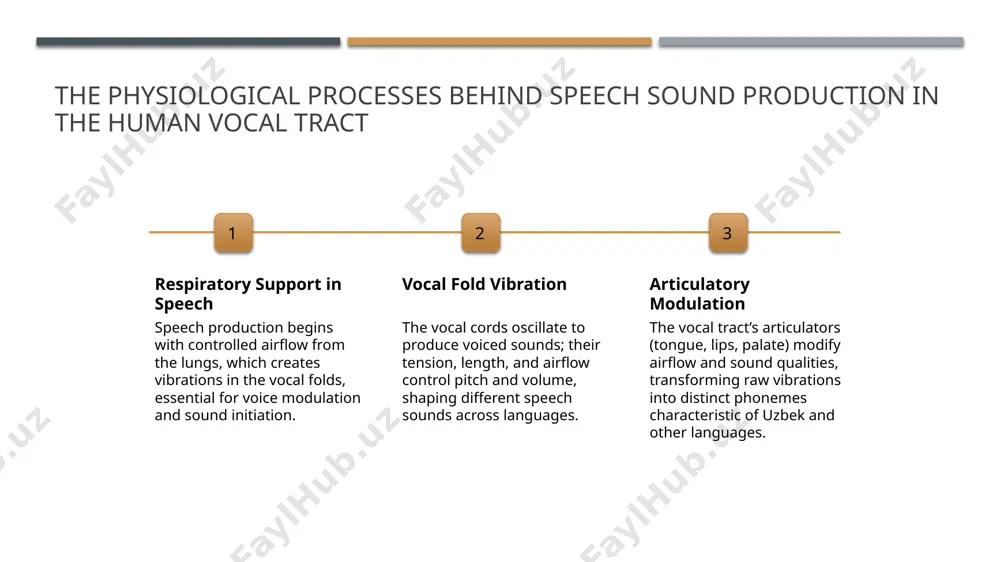 nd articulation phonetic traits of uzbek uzbek features distinct phonetic traits, such as vowel harmony and consonant softness, influencing sound articulation and shaping the language’s unique speech patterns. impact on articulation these traits affect how speakers position their articulatory organs, leading to specific pronunciations; for example, palatalization alters consonant production. cultural and linguistic influence uzbek’s linguistic traits reflect cultural history, affecting speech sound patterns; for instance, the presence of specific vowels and consonants highlights regional and social variations. the role of vocal tract anatomy in shaping speech sounds across languages 1 vocal tract structures the vocal tract's bones, muscles, and soft tissues shape speech sounds by controlling airflow and resonance, directly impacting phonetic qualities across languages. 2 variations in anatomy individual differences in tongue size, oral cavity length, and palate shape influence sound production, resulting in unique accents and phonetic features worldwide. 3 cross-language influence despite anatomical similarities, language-specific articulatory …