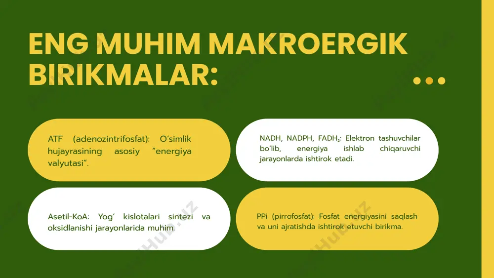o‘simliklarda makroergik birikmalar va ularning moddalar almashinuvidagi roli - Page 5