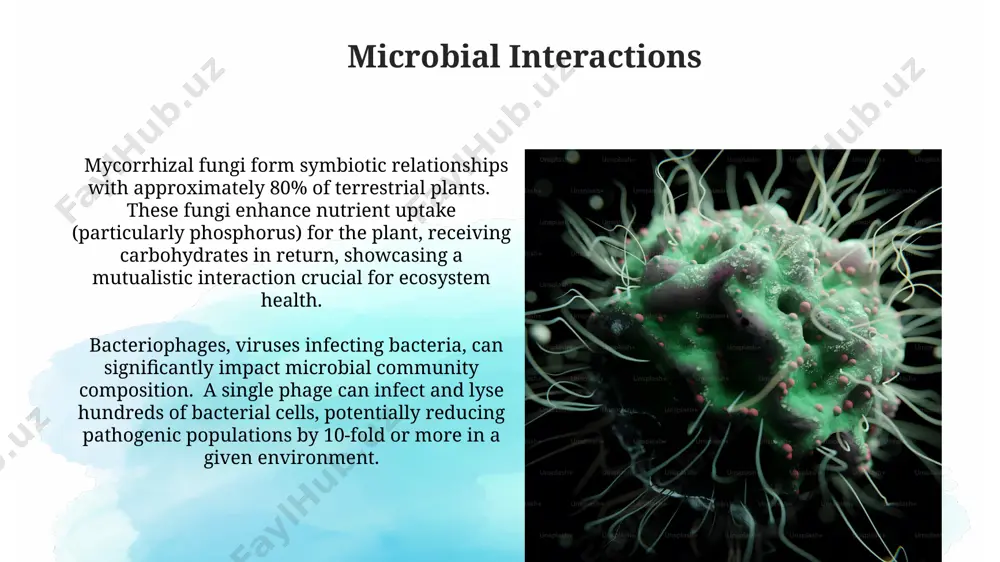 micro organisms - Page 4