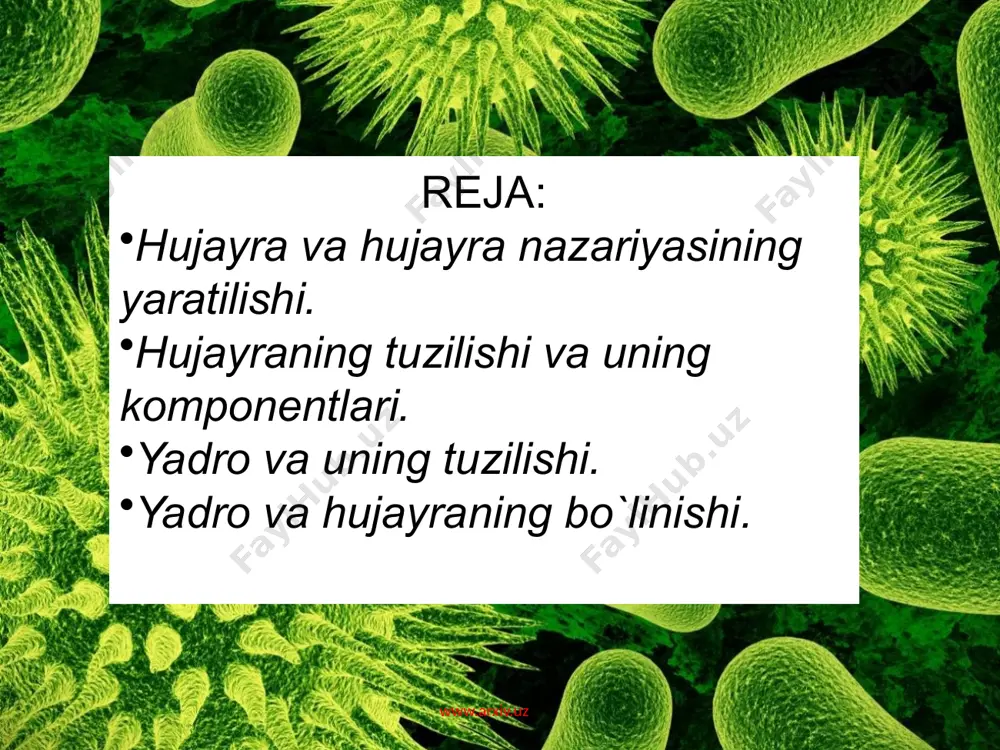 chamlari turlicha bo`ladi. aksariyat hollarda u ko`p qirrali bo`ladi. erkin holatda esa sharsimon, yulduzsimon, silindrsimon shakllarda bo`ladi. www.arxiv.uz www.arxiv.uz hujayra, asosan 3 qismdan: tashqaridan o`rab turuvchi hujayra po`sti, markazida joylashgan vakuola va hujayra shirasi – protoplastdan iborat. hujayra po`sti va vakuola uning o`lik qismi, protoplast esa tirik qismidir. protoplast o`z navbatida sitoplazma va yadrodan tashkil topgan. protoplastning faoliyati tufayli hujayra po`sti va hujayra shirasi ishlab chiqariladi. hujayra shirasi turli organik va mineral moddalarning suvdagi eritmasidir. www.arxiv.uz www.arxiv.uz elektron mikroskopda qaralganda, endoplazmatik to`r kanalchalarining tashqi yuzasida va bevosita sitoplazma qavatida yumaloq mayda tanachalarni ko`rish mumkin. bular ribosomalar deb ataladi. ular ribonuklein kislotaning (rnk) spiralsimon shaklli bir nechta molekulasidan tashkil topgan. rnk spirali o`rami orasida oqsil mulekulalari joylashadi va ular oqsil moddalarini sintezlab, muhim vazifani bajaradi. oqsil sintezlanishi uchun ribosomalardagi rnk molekulalari hujayra yadrosidagi dnk molekulalaridan ajraladigan informasion rnk ning alohida molekulalari tomonidan aktivlashtirilishi kerak. www.arxiv.uz o`simliklar hujayrasining sitoplazmasida kalta tayoqchalar shaklidagi …