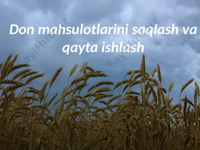 don mahsulotlarini saqlash va qayta ishlash — PPTX