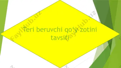 teri beruvchi qo‘y zotini tavsifi — PPTX
